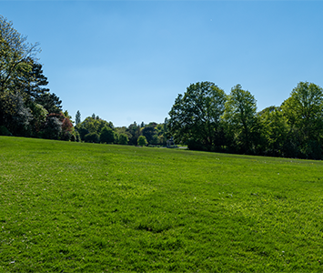 The wonderful countryside around Brinsworth, popular with walkers