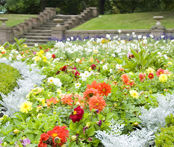 The breathtaking Clifton Park Gardens in Rotherham