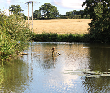 Greasbrough Dam, located near Hellaby is the perfect place for relaxing and absorbing the wonderful local nature