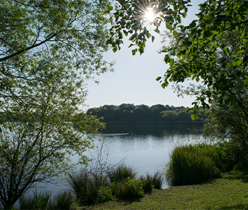 The picturesque Manvers Lake near Rotherham