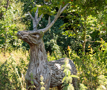 Tropical Butterfly House and Deer Farm near Anston, Rotherham